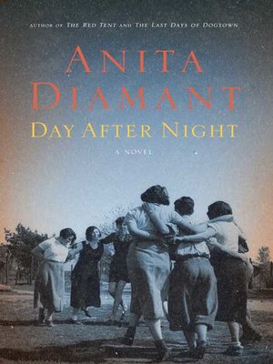 cover image of Day After Night